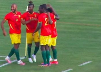 Journée Fifa : Victoire du Syli national face au Niger